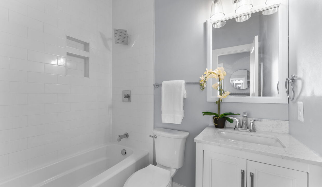 large-01990133-0191-719a-b3cb-7f23323c34ae