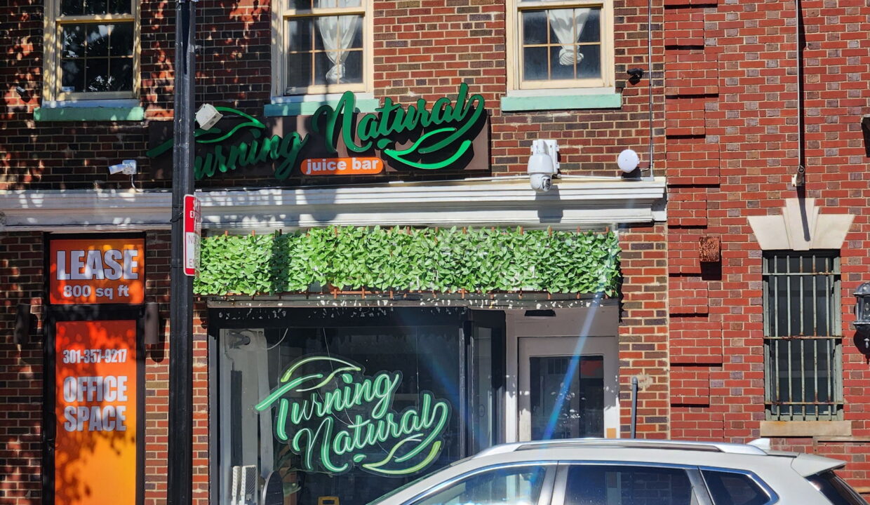 large-01990776-ae92-714a-a680-dfceff5bf592