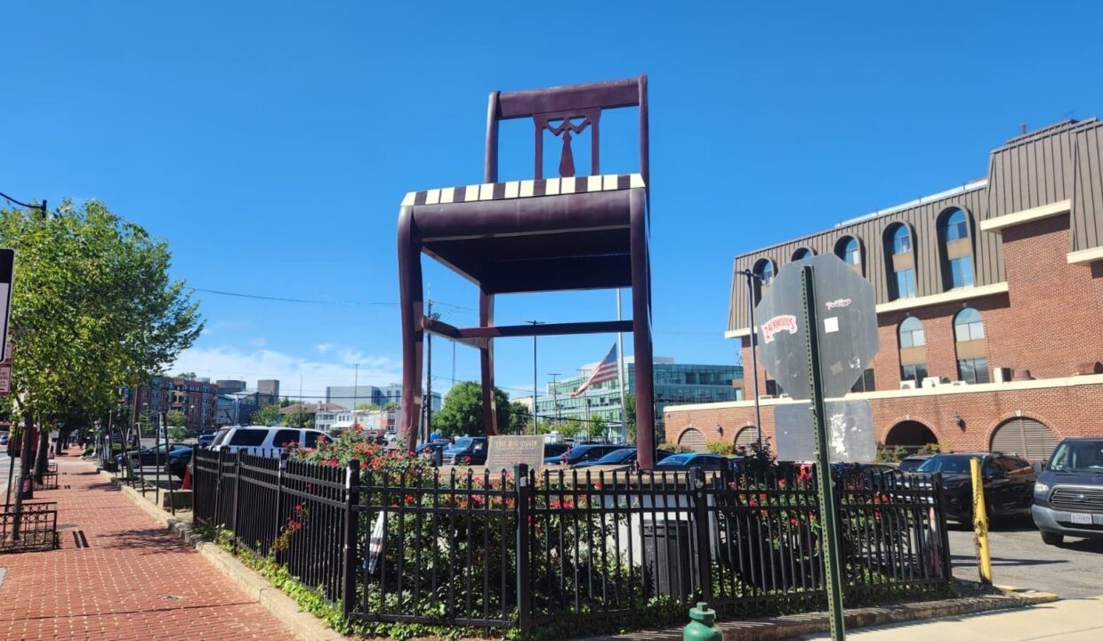 large-01990776-b066-72c6-a45f-d8b8604c3609